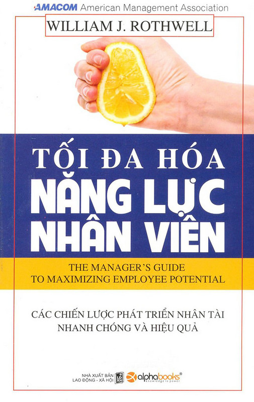 Tối Đa Hóa Năng Lực Nhân Viên - William J. Rothwell