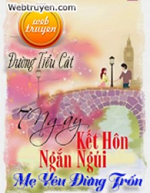 Bảy ngày hôn nhân ngắn ngủi: Mẹ yêu đừng trốn - Đường Tiểu Cát