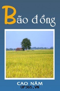 Bão đồng - Cao Năm