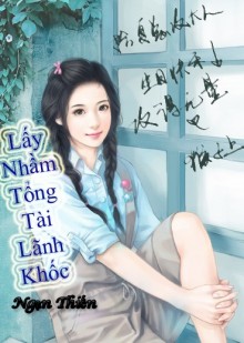 Lấy Nhầm Tổng Tài Lãnh Khốc - Ngạn Thiến