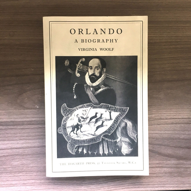 'Orlando' la kiet tac cua cong dong chuyen gioi hinh anh 3
