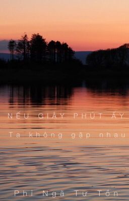 Nếu Giây Phút Ấy Ta Không Gặp Nhau - Phỉ Ngã Tư Tồn