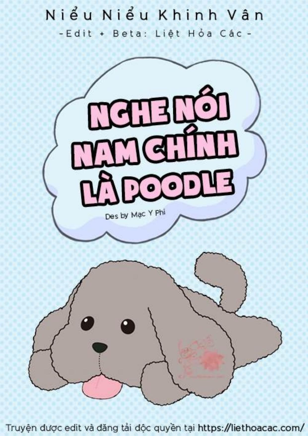 Nghe Nói Nam Chính Là Poodle