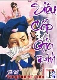 Siêu Cấp Gia Đinh