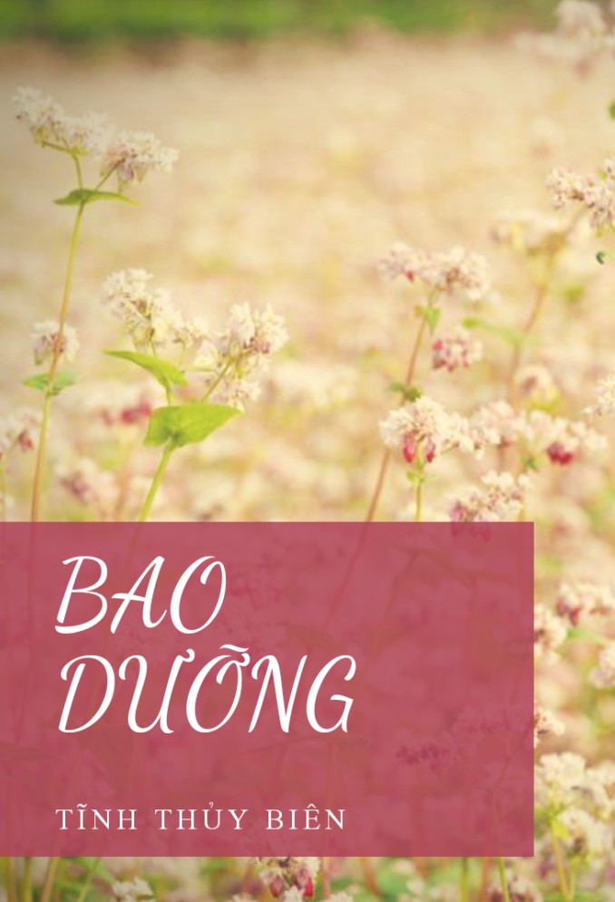 Bao Dưỡng