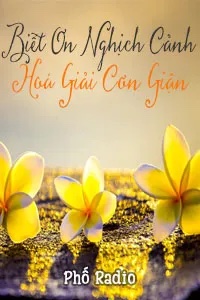 Biết Ơn Nghịch Cảnh, Hoá Giải Cơn Giận