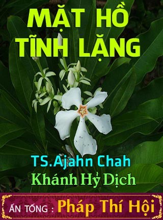 Mặt Hồ Tĩnh Lặng