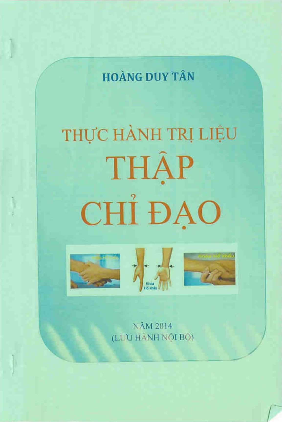 Thực Hành Trị Liệu Thập Chỉ Đạo