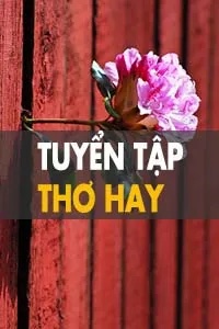 Tuyển Tập Thơ Hay