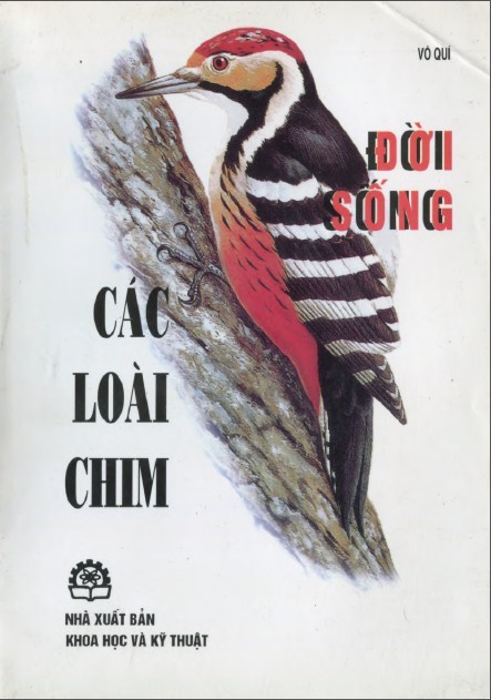 Đời Sống Của Các Loài Chim