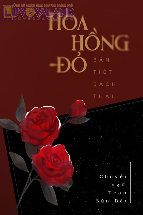 Hoa Hồng Đỏ
