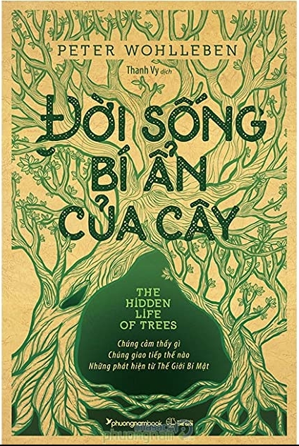 Đời Sống Bí Ẩn Của Cây