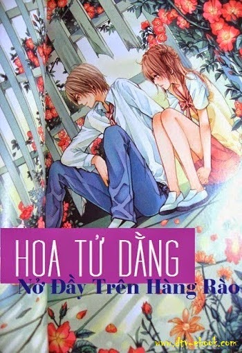 Hoa Tử Đằng Nở Đầy Hàng Rào - Thiên Tầm